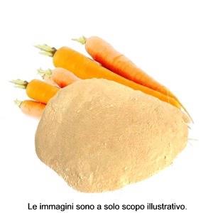 ESSICCATO DI CAROTE IN FARINA MATERIA PRIMA