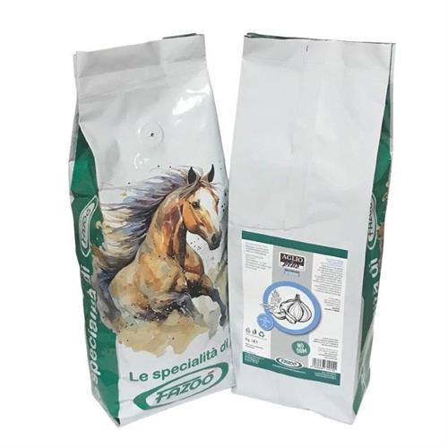 AGLIO IN POLVERE DA 1 KG.