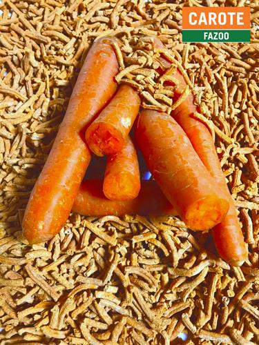 CAROTE ESSICCATE MATERIA PRIMA PER MANGIMI KG.1