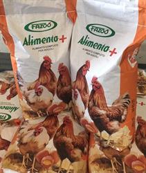 ALIMENTA+ MANGIME COMPLETO PER AVICOLI SACCO