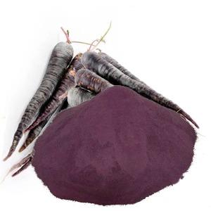 ESSICCATO DI CAROTA NERA IN FARINA MATERIA PRIMA