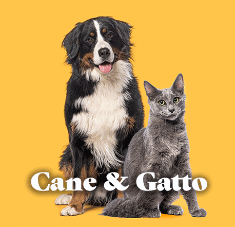 categoria-cane-e-gatto