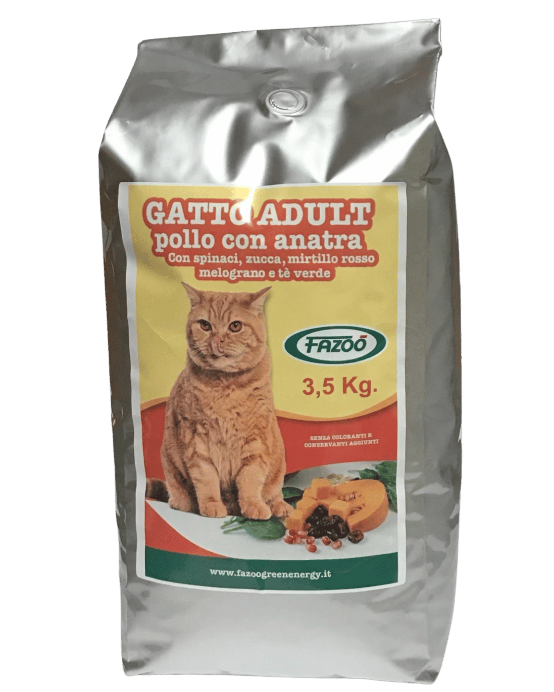 sacco-adult-gatto