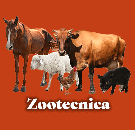 zootecnia